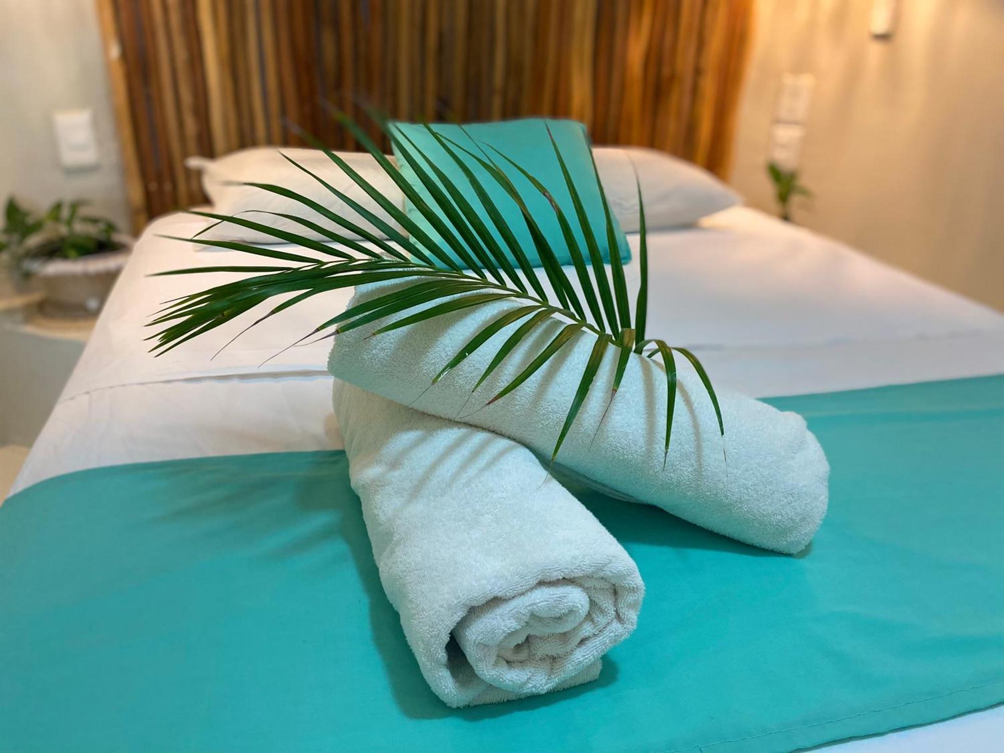 Nature Stay (Adults Only) 普拉亚卡门 外观 照片
