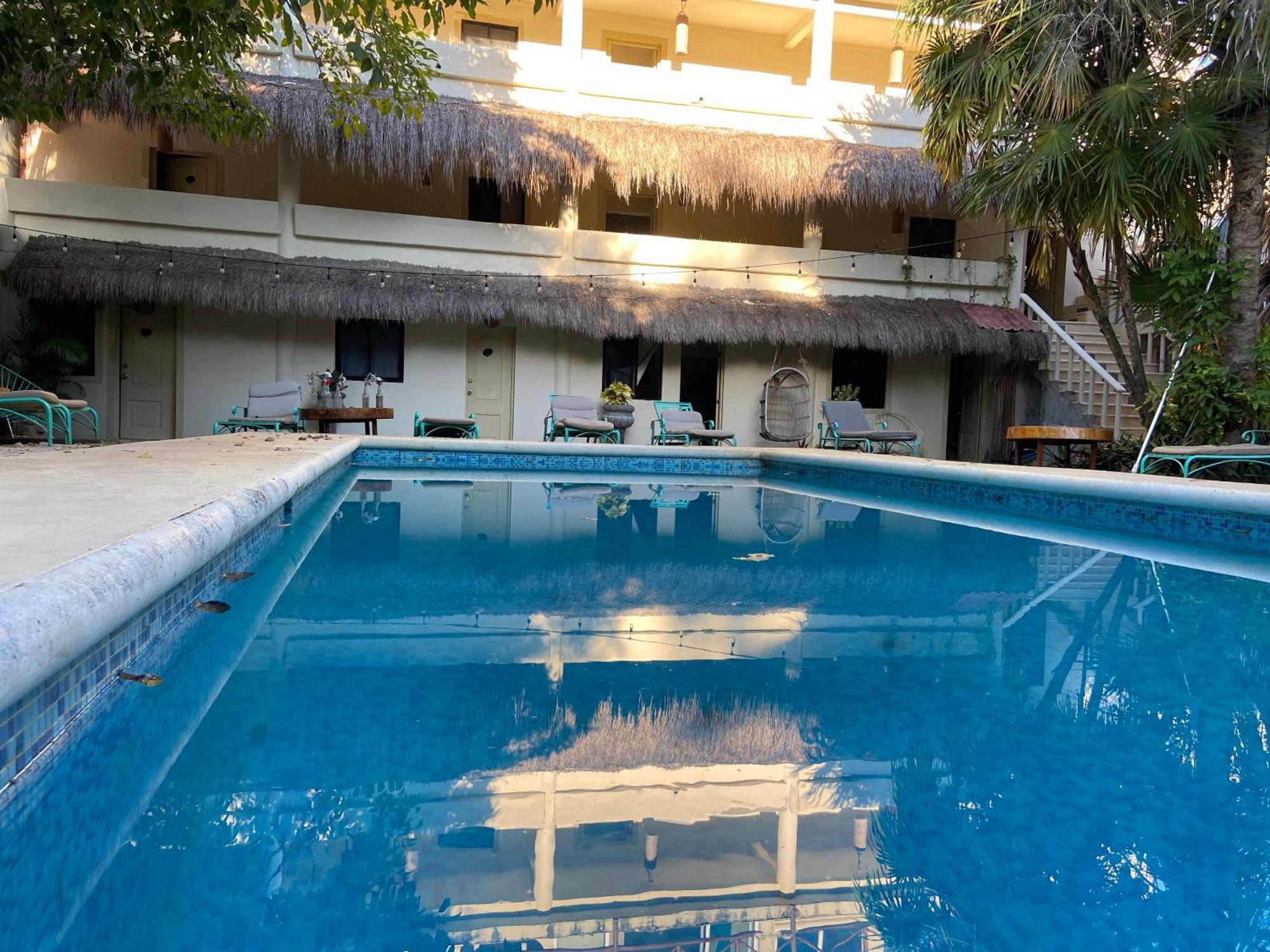 Nature Stay (Adults Only) 普拉亚卡门 外观 照片