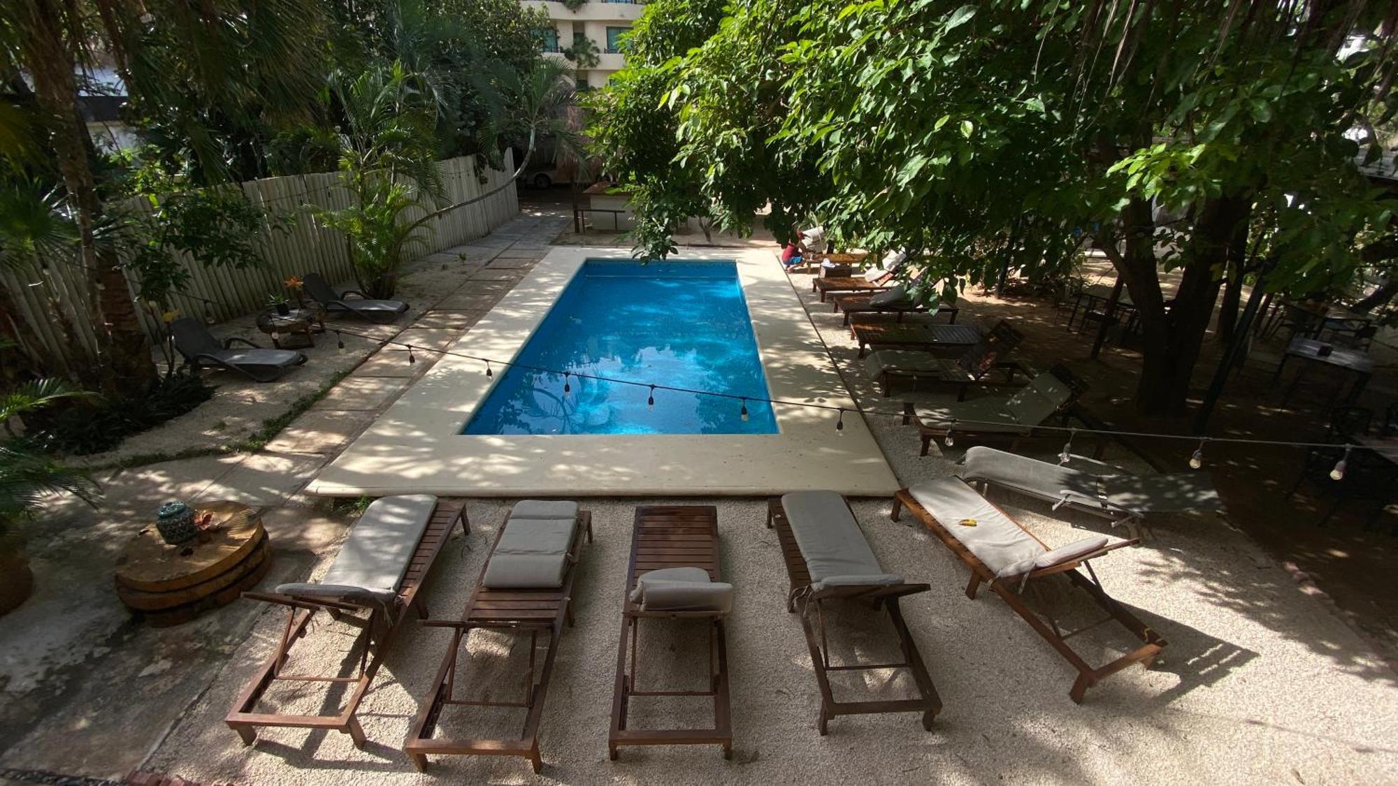 Nature Stay (Adults Only) 普拉亚卡门 外观 照片