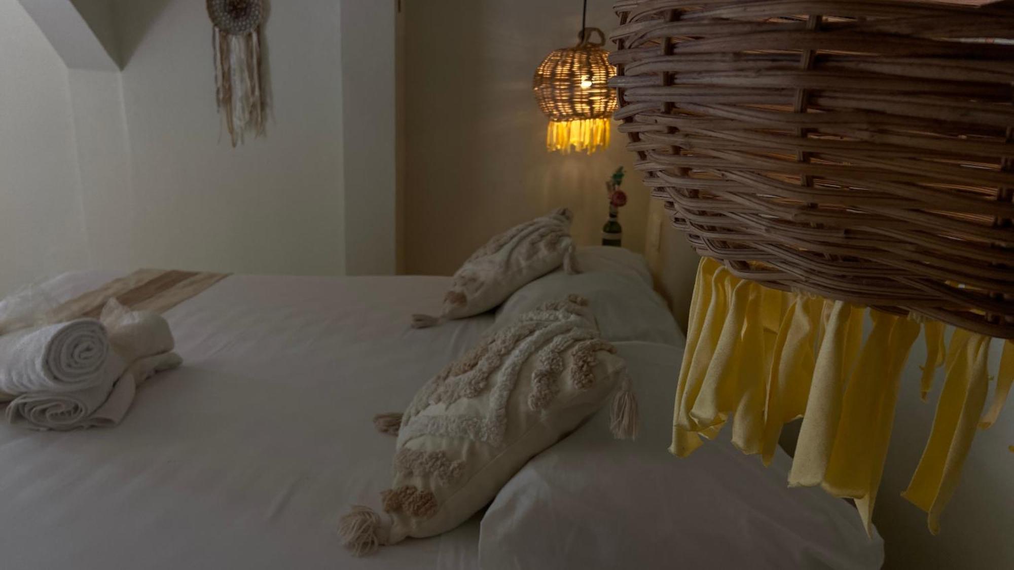 Nature Stay (Adults Only) 普拉亚卡门 外观 照片
