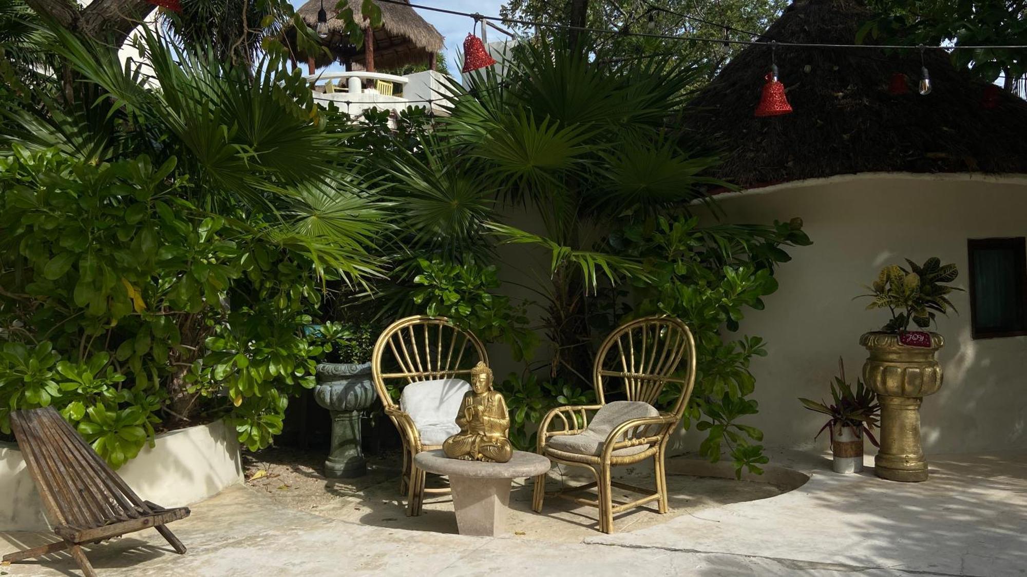 Nature Stay (Adults Only) 普拉亚卡门 外观 照片