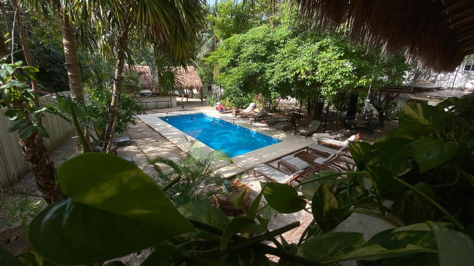 Nature Stay (Adults Only) 普拉亚卡门 外观 照片