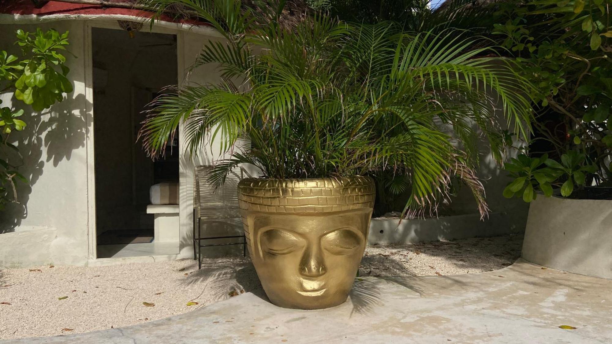 Nature Stay (Adults Only) 普拉亚卡门 外观 照片