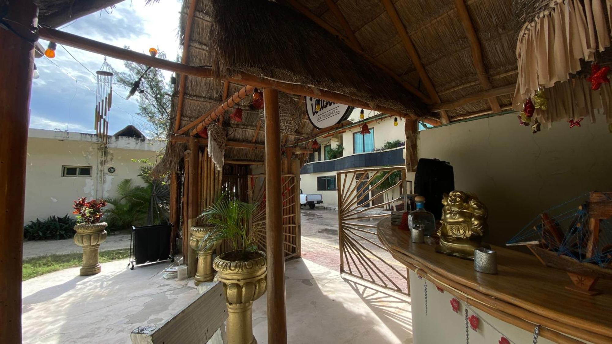 Nature Stay (Adults Only) 普拉亚卡门 外观 照片