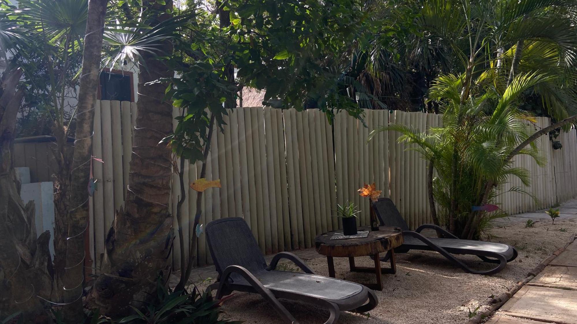 Nature Stay (Adults Only) 普拉亚卡门 外观 照片
